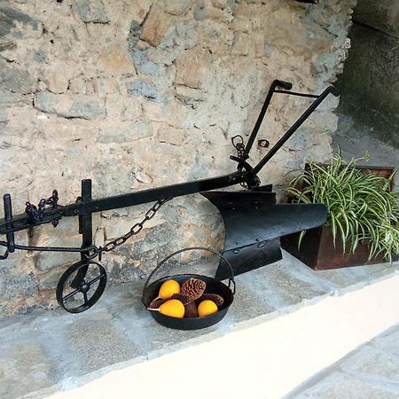 Nasino Agriturismo U'Spigu Nonna Annetta מראה חיצוני תמונה
