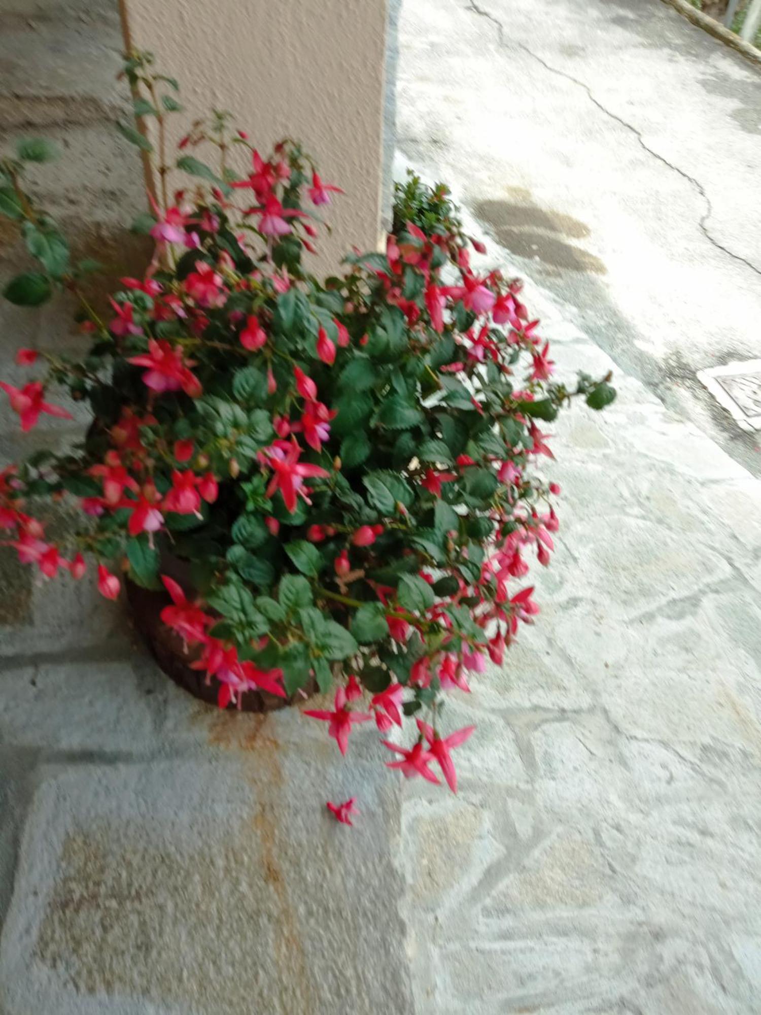 Nasino Agriturismo U'Spigu Nonna Annetta מראה חיצוני תמונה