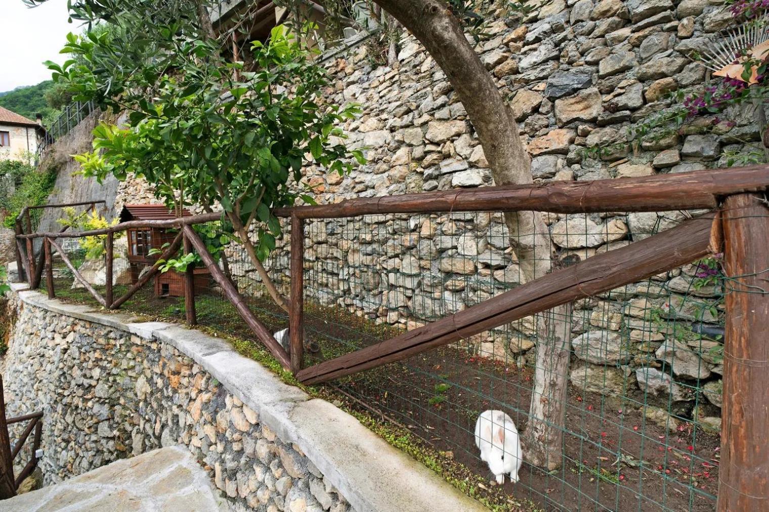 Nasino Agriturismo U'Spigu Nonna Annetta מראה חיצוני תמונה